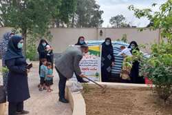 برگزاری جلسه آموزشی سبزی‌کاری در منزل با مشارکت شبکه بهداشت و درمان و اداره کشاورزی اسلامشهر